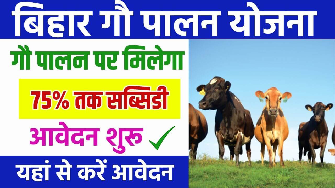 गौ पालन के लिए सरकार देगी 75% तक सब्सिडी, जाने आवेदन प्रक्रिया