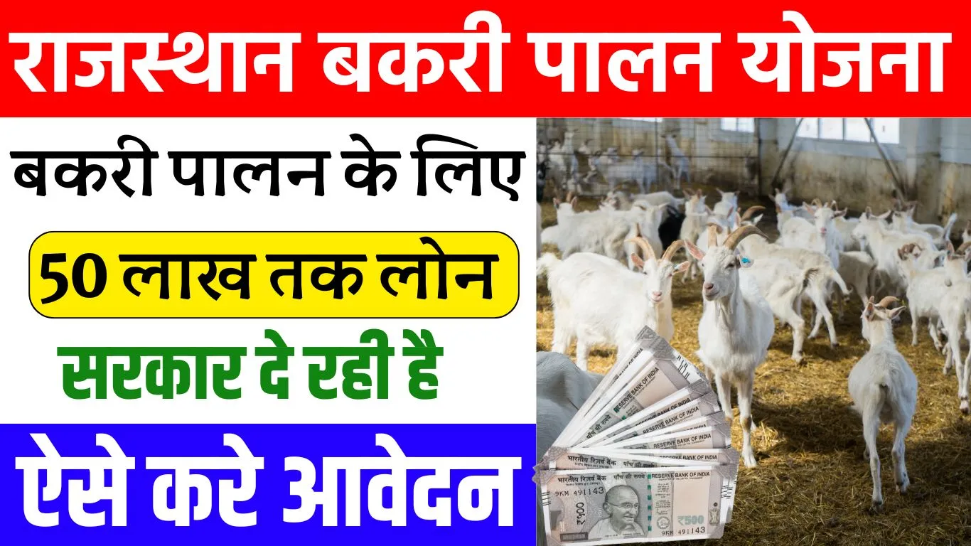 Rajasthan Bakri Palan Yojana 2024